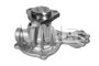 Imagen de BOMBA DE AGUA VOLKSWAGEN KOMBI DIESEL/PASSAT 1981/1983