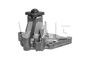 Imagen de BOMBA DE AGUA HYUNDAI ACCENT II 1.5 12V 2000/2006