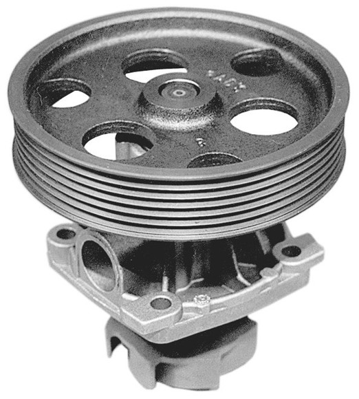 Imagen de BOMBA DE AGUA FIAT PALIO 1.3I 1999-2001 CON POLEA MULTI V