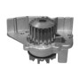 Imagen de BOMBA DE AGUA BOXER/JUMPER/XSARA/EXPERT/BERLINGO 1.9D