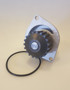 Imagen de BOMBA DE AGUA CITROEN SAXO/XSARA/PEUGEOT 106/206/307 1.6 16V