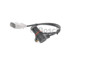 Imagen de SENSOR DE ROTACION VOLKSWAGEN GOLF IV 1999 EN ADELANTE