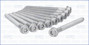 Imagen de JUEGO DE TORNILLOS DE TAPA DE CIL. CITROEN/PEUGEOT DIESEL XUD7/XUD9/DW8