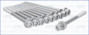 Imagen de TORNILLOS DE TAPA DE CIL. CHEVROLET VECTRA/CORSA 1.7D/TD