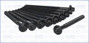 Imagen de TORNILLOS DE TAPA DE CIL. MEGANE/LAGUNA/CLIO/SYMBOL 1.6 16V