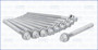 Imagen de TORNILLOS DE TAPA DE CIL. CITROEN PICASSO 2.0 16V 2006-