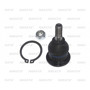 Imagen de ROTULA SUPERIOR DELANTERA TOYOTA HILUX 2005-
