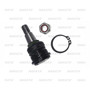 Imagen de ROTULA SUSPENSION HONDA FIT/CITY 2012-