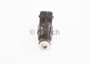 Imagen de INYECTOR BOSCH VW GOL VI/SAVEIRO/POLO/FOX/CROSSFOX 1.6