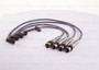 Imagen de JUEGO DE CABLES DE BUJIA VW GOL/PARATI GENERACION 4 2002/07