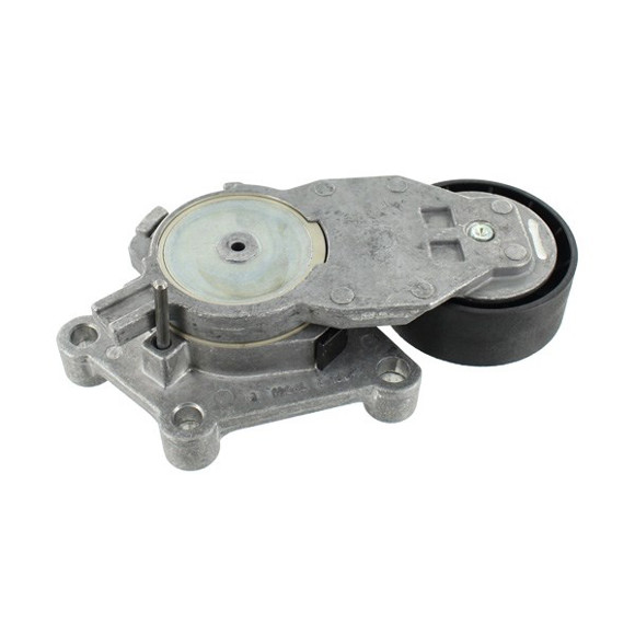 Imagen de RULEMAN TENSOR MULTI V CITROEN C3 C4 PEUGEOT 307