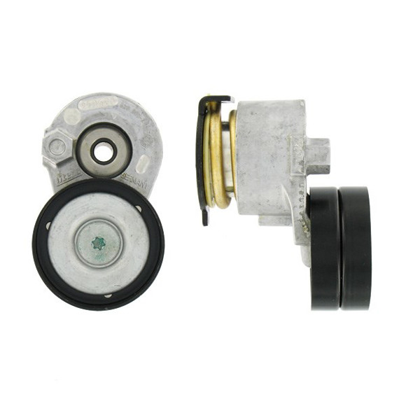 Imagen de RULEMAN TENSOR MULTI V RENAULT MEGANE 1.9DCI MOTOR F9Q