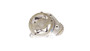 Imagen de BOMBA DE ACEITE VW 17250E CUMMI NISSAN 2005...