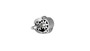 Imagen de BOMBA DE ACEITE VW CONSTELLATION C0836260/D0836280/D0836340