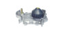 Imagen de BOMBA DE AGUA CLIO/MEGANE/SCENIC 95> LOGAN/SANDERO 08> 1.6