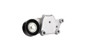 Imagen de RULEMAN TENSOR MULTI-V CITROEN C3/C4/PEUGEOT 307 1.4/1.6/HDI
