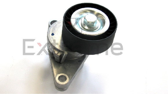 Imagen de RULEMAN TENSOR MULTI-V CITROEN C3/C4 PEUGEOT 307/308