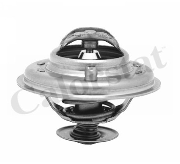 Imagen de TERMOSTATO C/VALV BMW 325TD/TDS 318TDS/525TD 91/2000 80