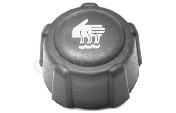 Imagen de TAPON RADIADOR RENAULT KANGOO 1.6I/1.9D MEGANE 97-06/TWINGO