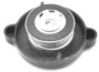 Imagen de TAPON DE RADIADOR PEUGEOT 206/207/307/407/CT C3/C4 02. . .