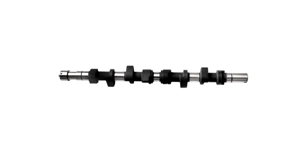 Imagen de ARBOL DE LEVAS RENAULT CLIO/EXPRESS/R19/KANGOO 1.9D