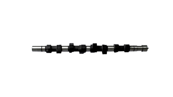Imagen de ARBOL DE LEVAS CLIO/EXPRESS/R19/KANGOO/MEGANE 1.9D F8Q PERNO