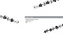 Imagen de ARBOL DE LEVAS PEUGEOT 206/306/PARTNER CT C4/C5/XSARA