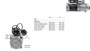 Imagen de MOTOR DE ARRANQUE VW 8150E CONSTELLATION/WORKER 17250