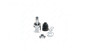 Imagen de HOMOCINETICA CAJA HONDA CIVIC 07-12 1.8 AUTOMATICO