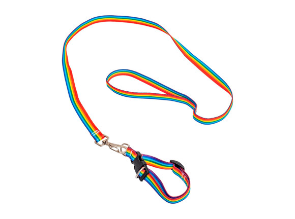Imagen de KIT 10 CORREAS Y COLLARES P/PERRO EN CINTA DE POLIESTER