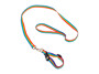 Imagen de KIT 10 CORREAS Y COLLARES P/PERRO EN CINTA DE POLIESTER