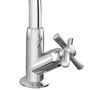 Imagen de CANILLA BAÑO CROMADA PLASTICA ALTA DE MESA 1/2" CROSS