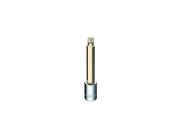 Imagen de DADO  DE 1/2" SPLINE LARGO M5