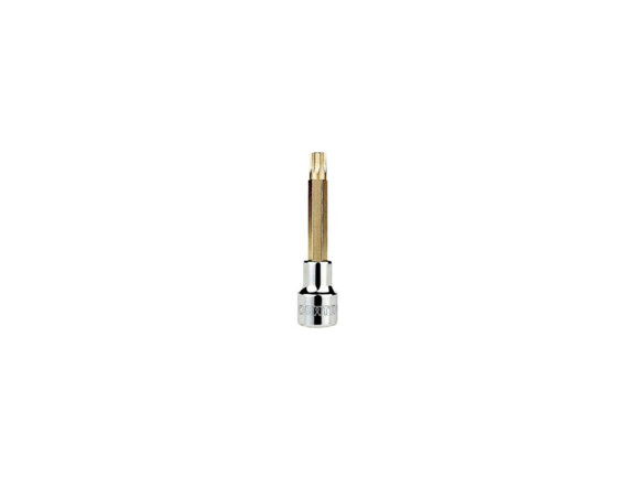 Imagen de DADO  DE 1/2" SPLINE LARGO M14