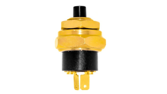 Imagen de INTERRUPTOR FRENO FORD CARGO TODOS
