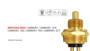 Imagen de INTERRUPTOR LUZ MARCHA ATRAS M-BENZ 1218/1418/1620/1935/2635