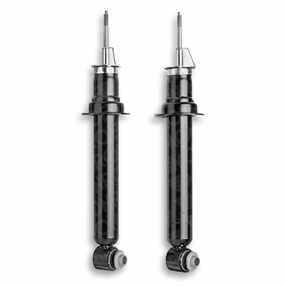 Imagen de PAR AMORTIGUADORES TRASEROS BMW SERIE 5 E39  95-03