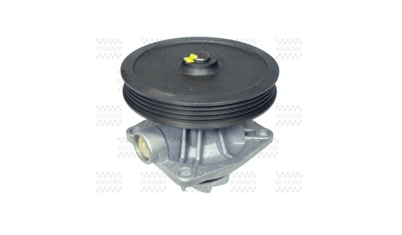 Imagen de BOMBA DE AGUA FIAT PALIO/WEEKEND/SIENA/STRADA 1.6 8V 1998...