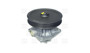 Imagen de BOMBA DE AGUA FIAT PALIO/WEEKEND/SIENA/STRADA 1.6 8V 1998...