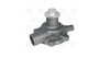 Imagen de BOMBA DE AGUA MWM TD229 FORD F1000/TRACTOR VALMET/AGRALE