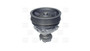 Imagen de BOMBA DE AGUA FIAT TIPO 1.6I SPI 8V 4 CILINDROS