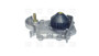 Imagen de BOMBA DE AGUA CLIO/MEGANE/SCENIC 95> LOGAN/SANDERO 08> 1.6