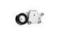 Imagen de RULEMAN TENSOR MULTI-V CITROEN C3/C4/PEUGEOT 307 1.4/1.6/HDI
