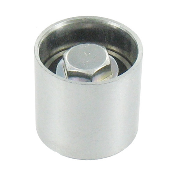 Imagen de RULEMAN GUIA DISTRIBUCION AUDI A3/A4 VW BORA SEAT CORDOBA
