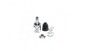 Imagen de HOMOCINETICA CAJA HONDA CIVIC 07-12 1.8 AUTOMATICO