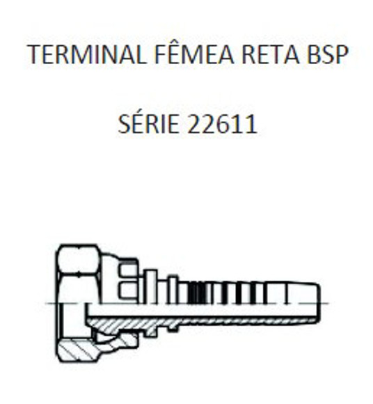 Imagen de HEMBRA RECTO 1" BSP X 11F 16 MANG.1" CONICO