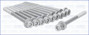 Imagen de TORNILLOS DE TAPA DE CIL. CHEVROLET VECTRA/CORSA 1.7D/TD