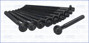 Imagen de TORNILLOS DE TAPA DE CIL. MEGANE/LAGUNA/CLIO/SYMBOL 1.6 16V