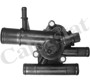 Imagen de TERMOSTATO RENAULT SCENIC/MEGANE/TRAFIC/LAGUNA 1.9DCI F9Q 89